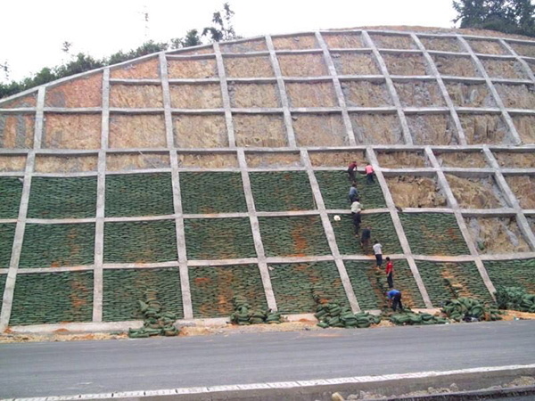 �S�������^�U�����֧�o(h��)��ֲ����Һ������ֲ��